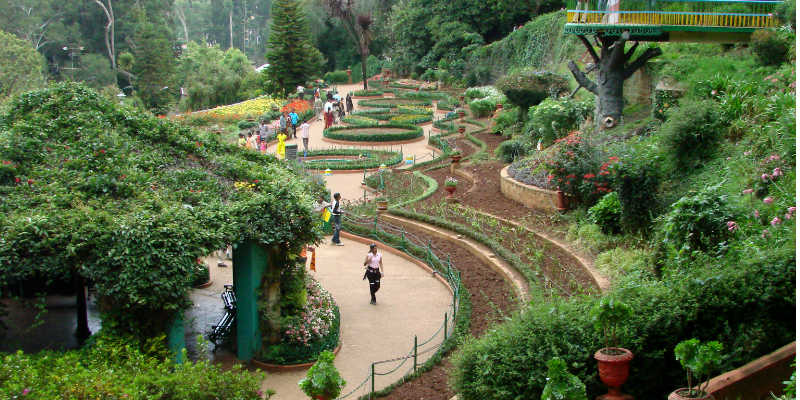 Botanical garden